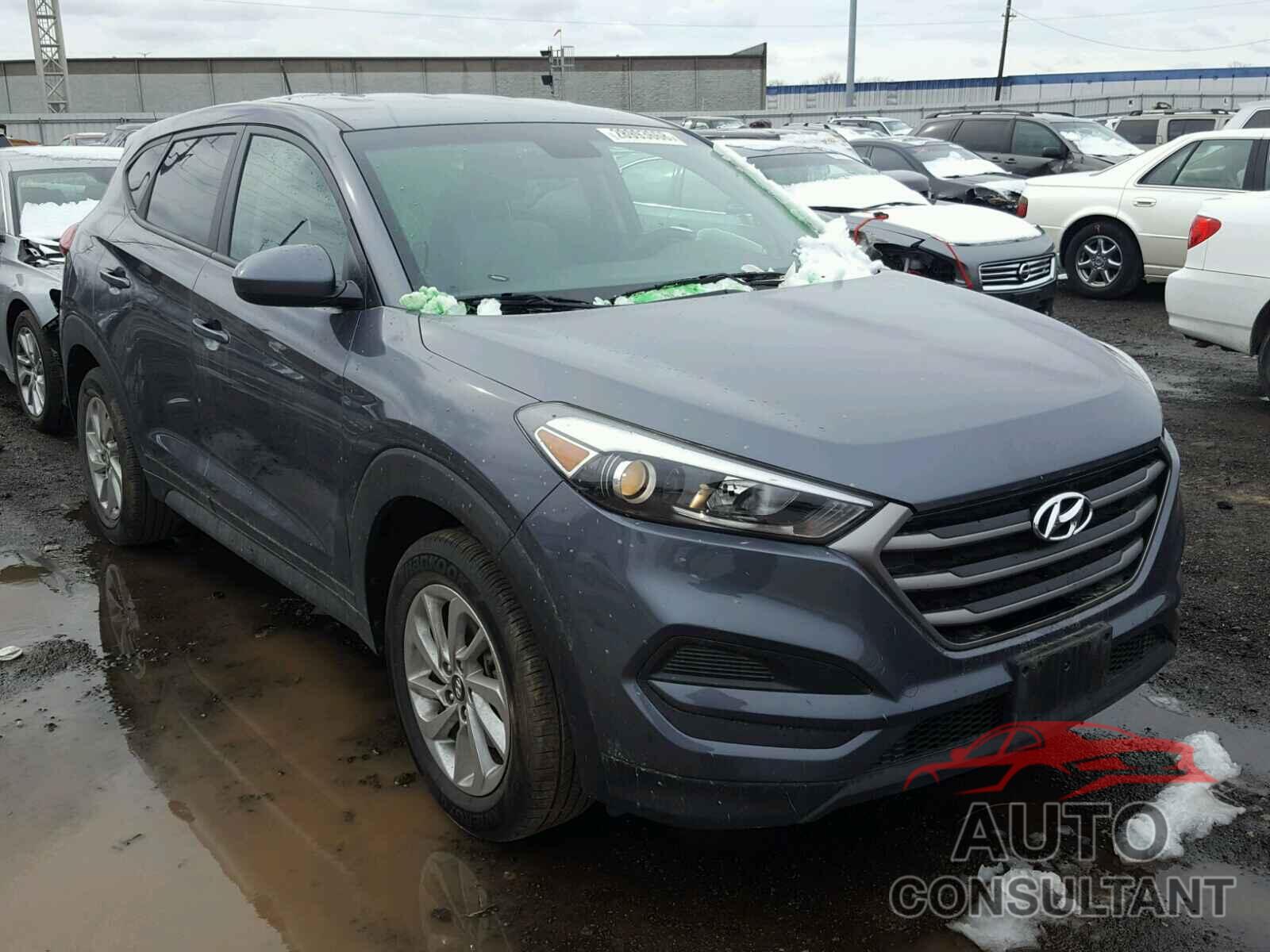 HYUNDAI TUCSON 2016 - KM8J23A40GU104293
