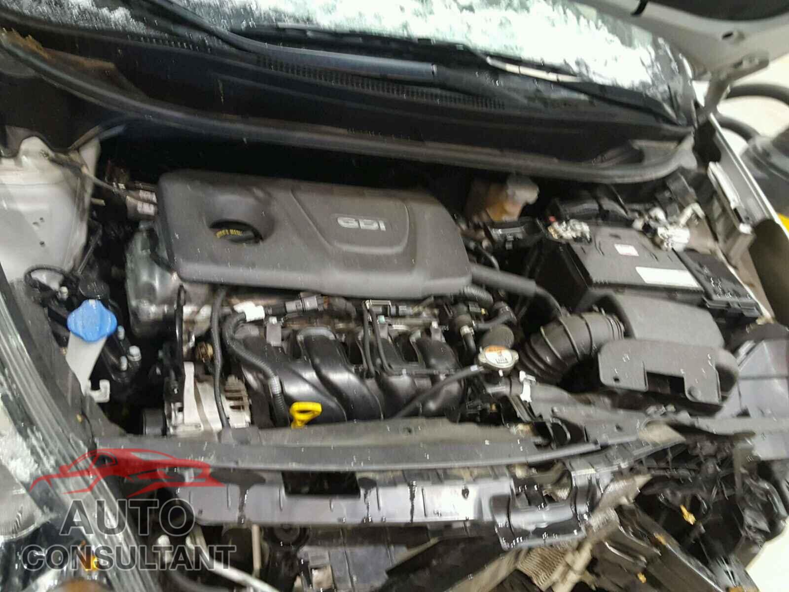 KIA RIO 2016 - KNADM4A31G6636839