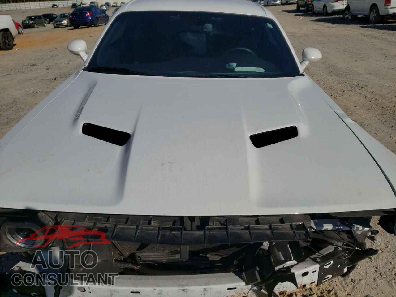 DODGE CHALLENGER 2019 - 2C3CDZAG6KH741449