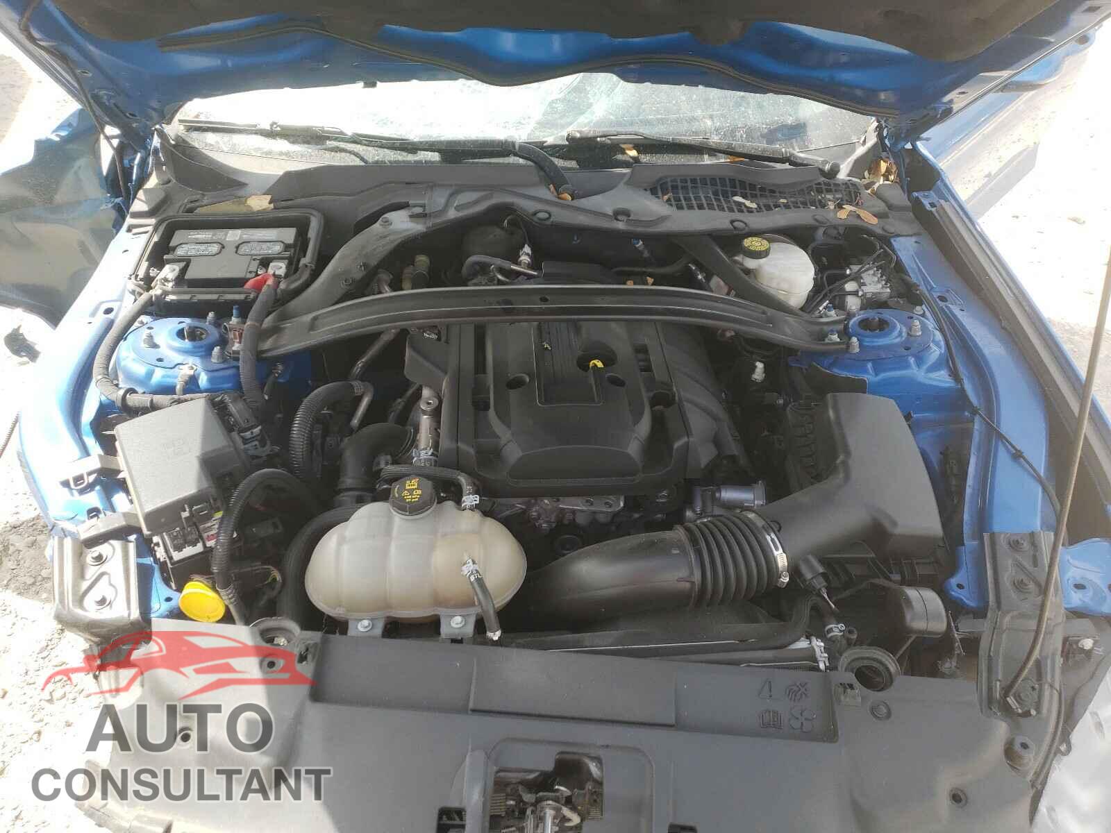 FORD MUSTANG 2019 - 1FA6P8TH2K5134963