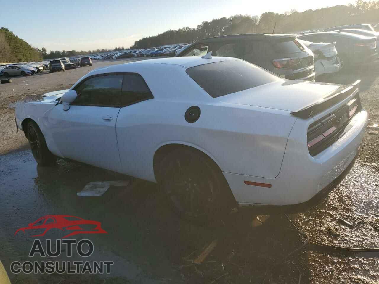 DODGE CHALLENGER 2018 - 2C3CDZAG4JH204884