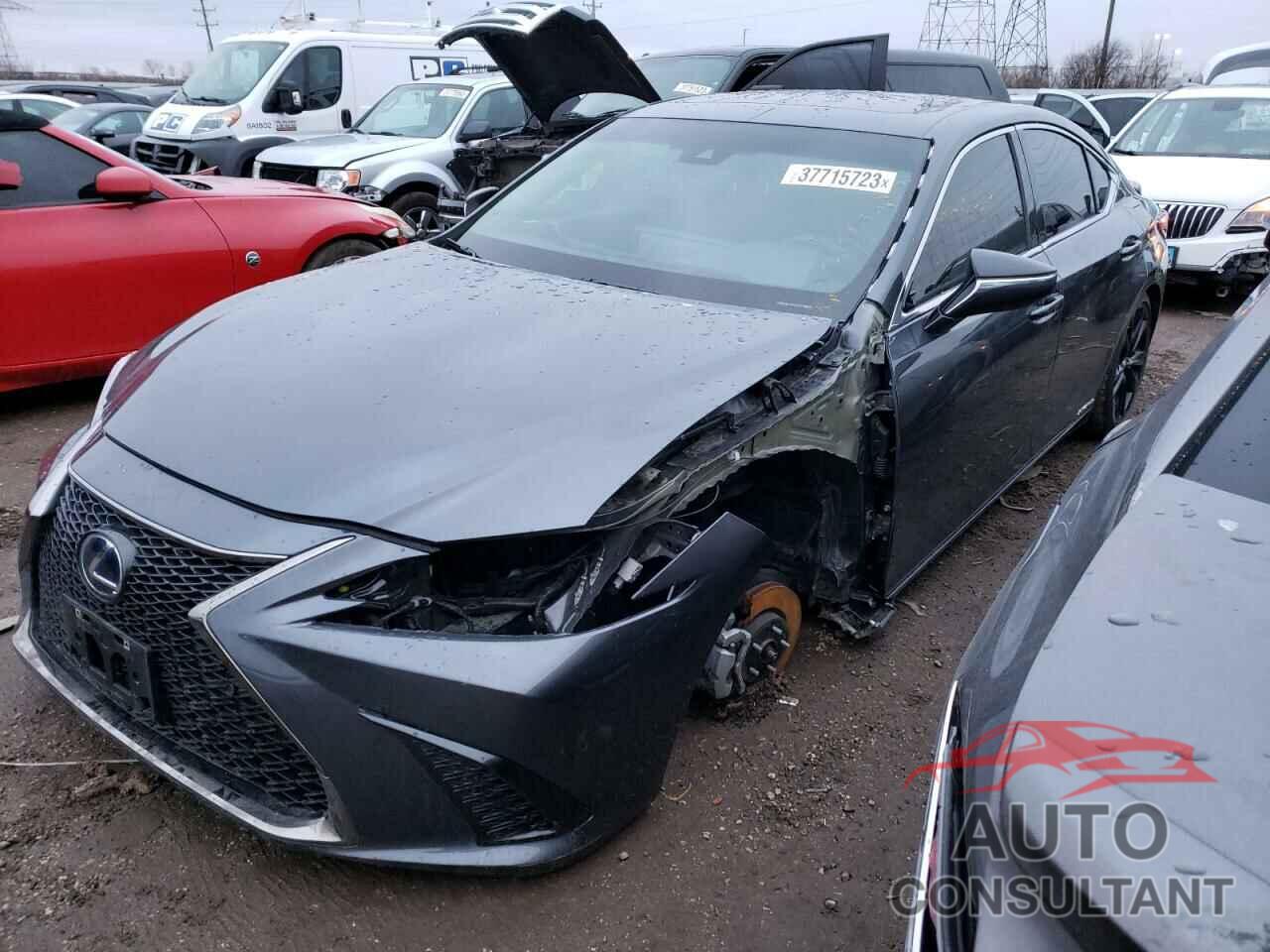 LEXUS ES300 2022 - 58AGA1C18NU018837