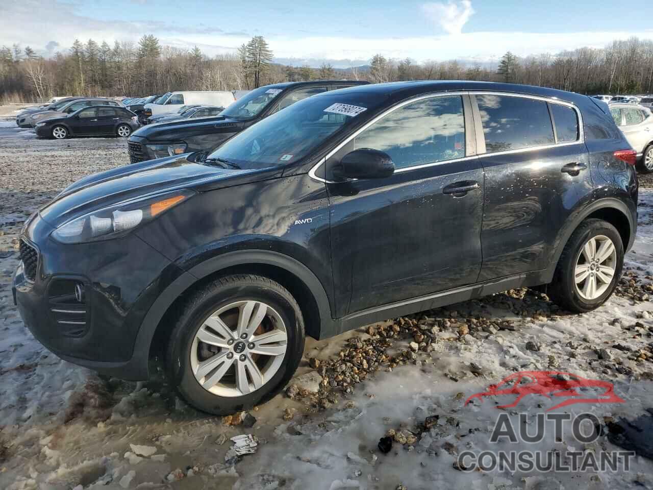 KIA SPORTAGE 2019 - KNDPMCAC8K7492154