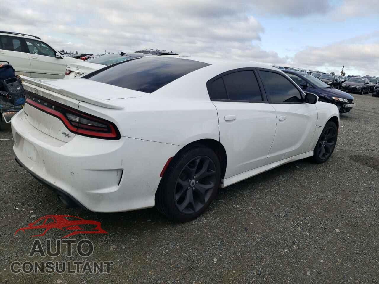 DODGE CHARGER 2019 - 2C3CDXCTXKH757345
