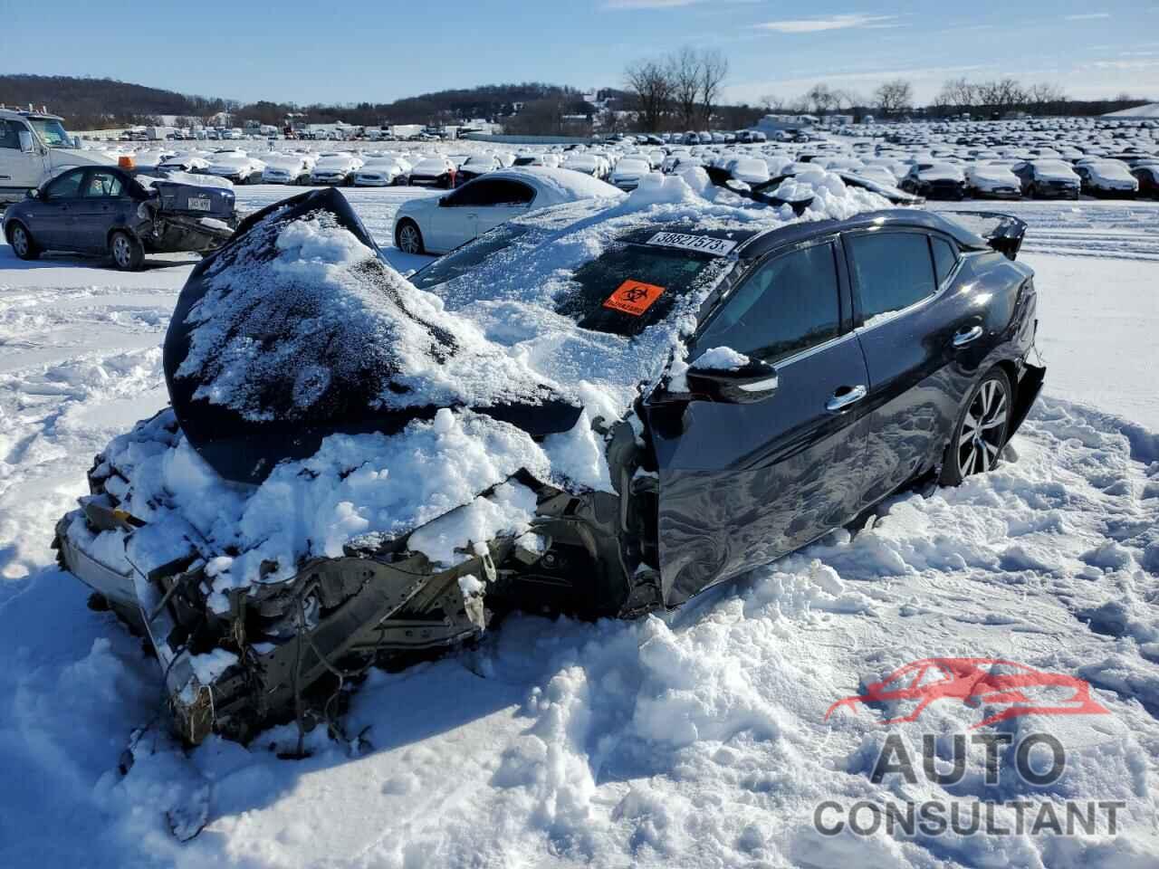 NISSAN MAXIMA 2017 - 1N4AA6AP7HC402422