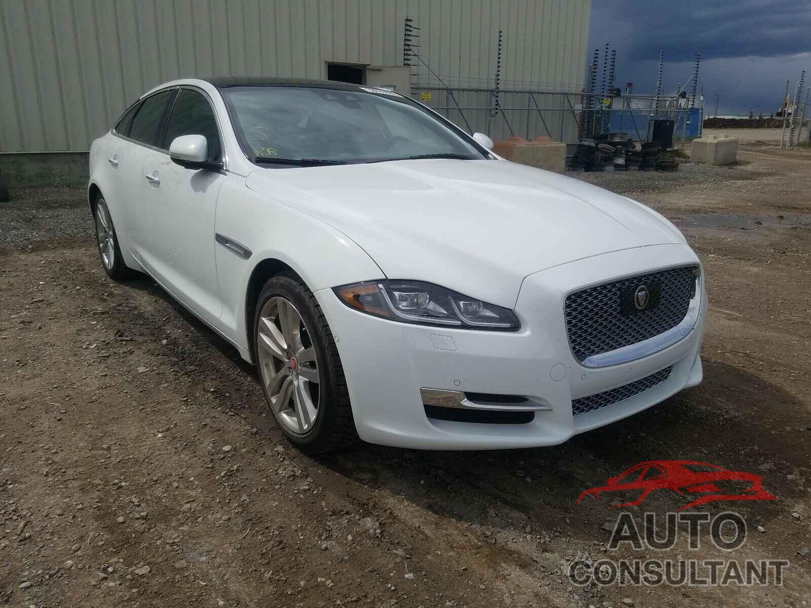 JAGUAR XJ 2019 - SAJXJ1GDXK8W20144