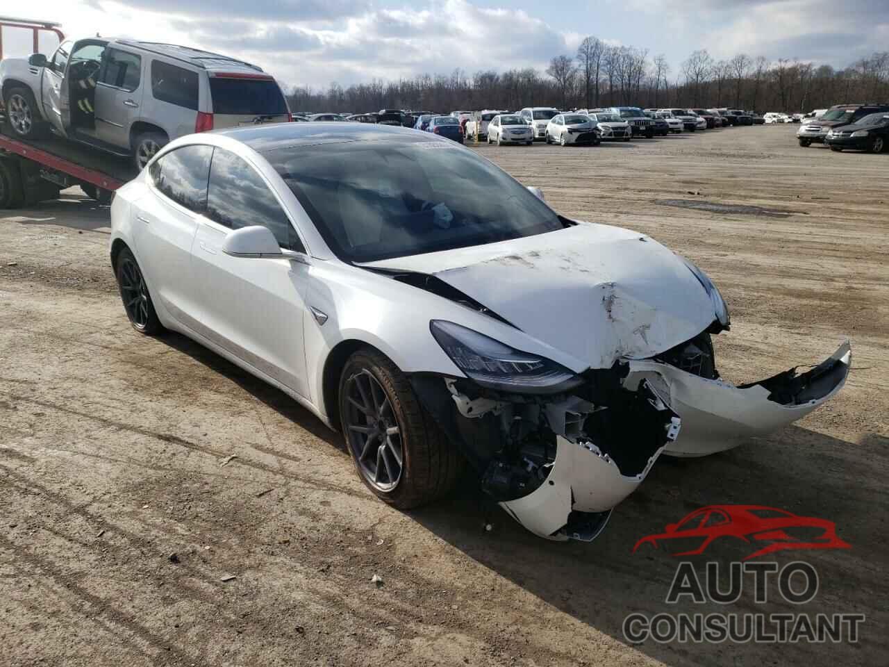 TESLA MODEL 3 2019 - 5YJ3E1EBXKF494421