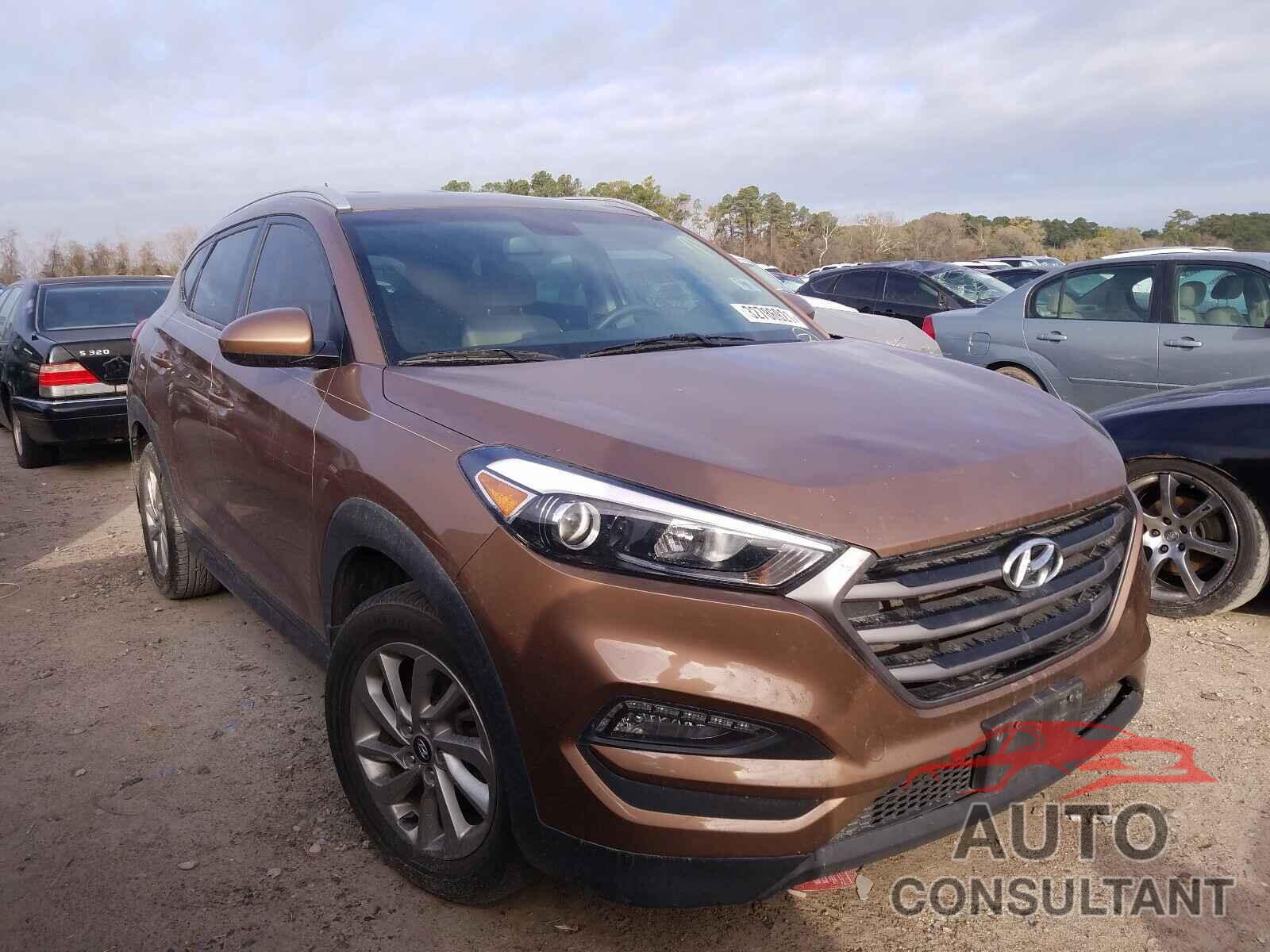 HYUNDAI TUCSON 2016 - KM8J33A45GU109003