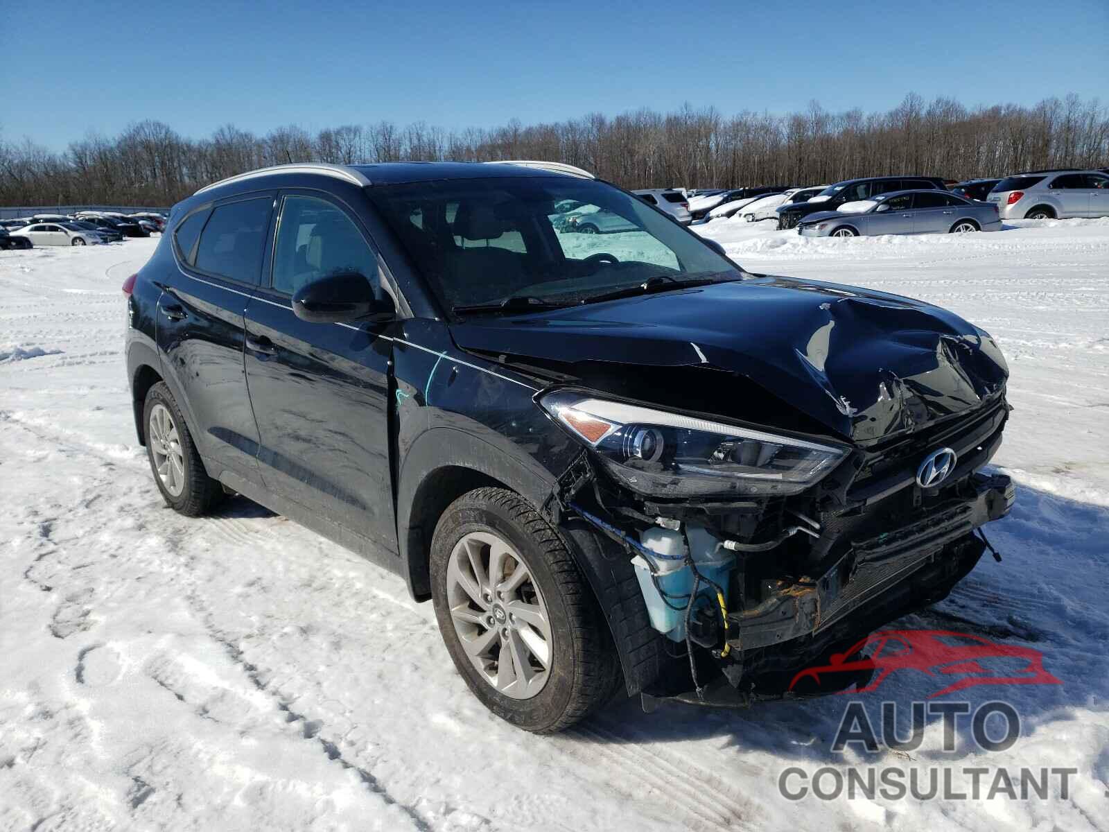 HYUNDAI TUCSON 2016 - KM8J33A44GU059145