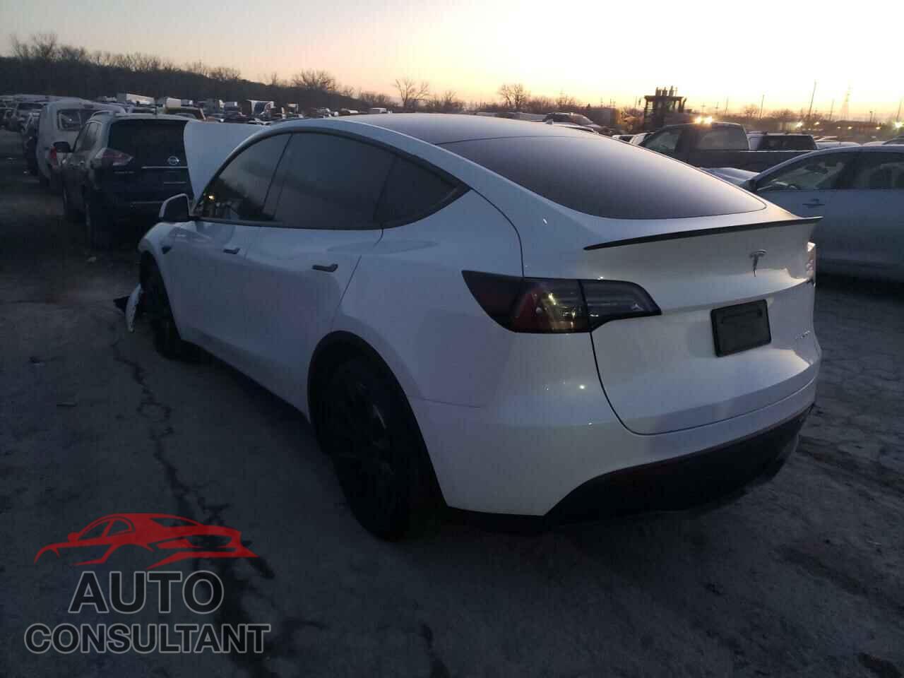 TESLA MODEL Y 2020 - 5YJYGDEE3LF030948