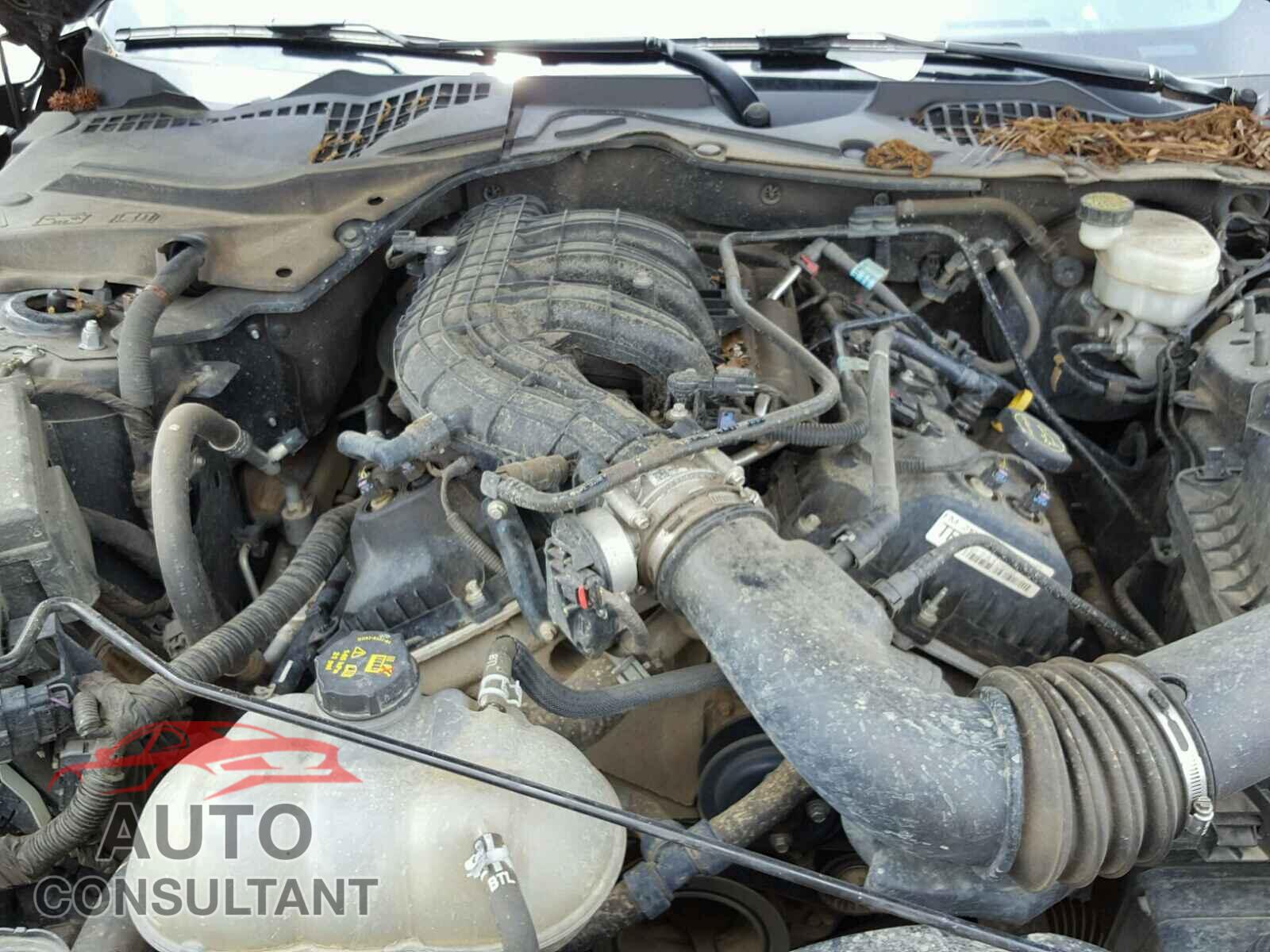 FORD MUSTANG 2015 - 1FA6P8AM7F5429207