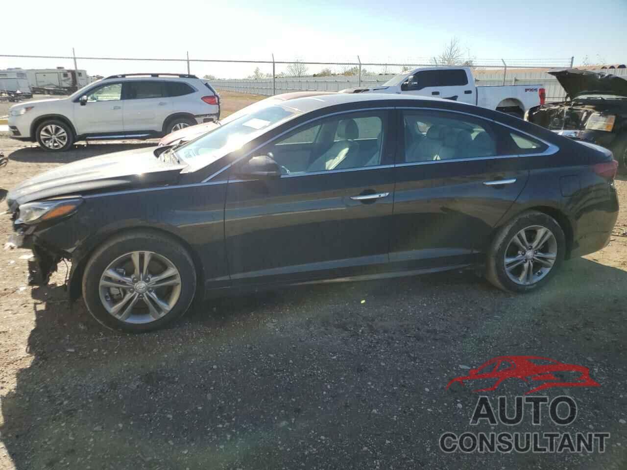 HYUNDAI SONATA 2019 - 5NPE34AF1KH812887