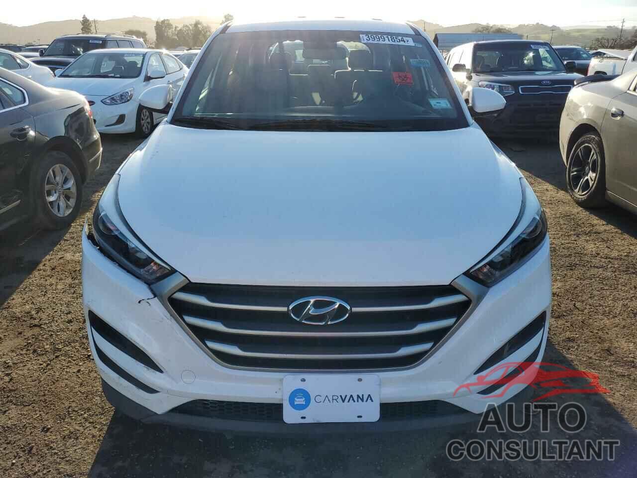 HYUNDAI TUCSON 2017 - KM8J23A44HU486460