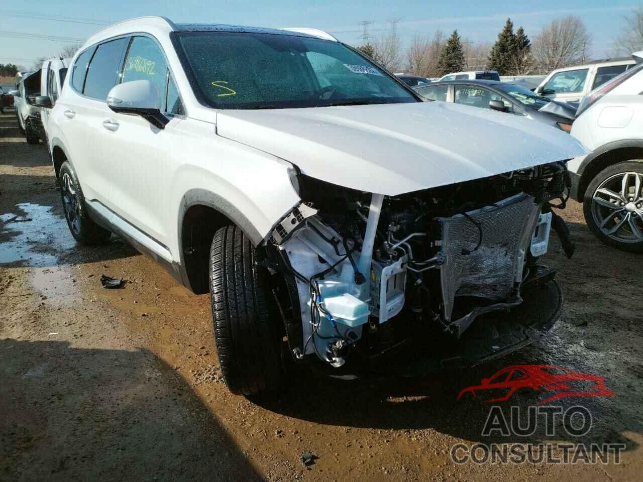 HYUNDAI SANTA FE 2021 - KM8S5DA16MU011877