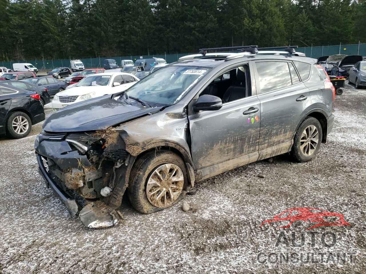 TOYOTA RAV4 2016 - JTMRJREV4GD028934