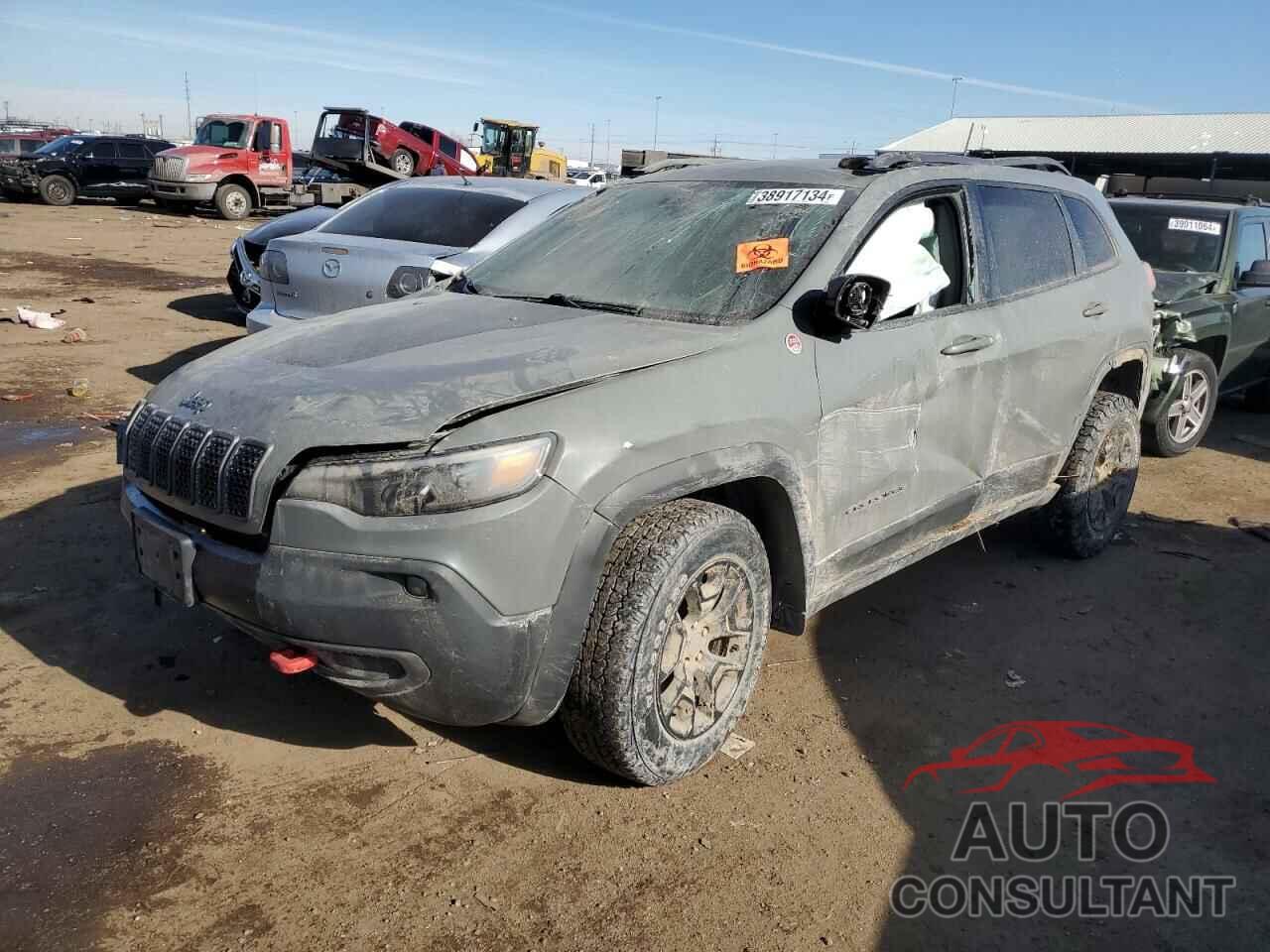 JEEP CHEROKEE 2019 - 1C4PJMBN0KD425256