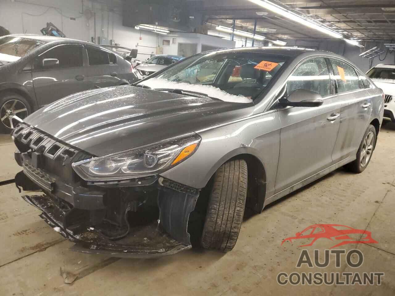 HYUNDAI SONATA 2019 - 5NPE34AF5KH816313