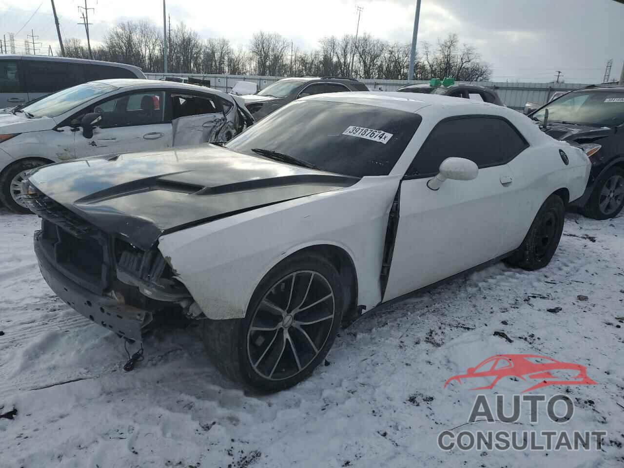 DODGE CHALLENGER 2019 - 2C3CDZBT3KH629526