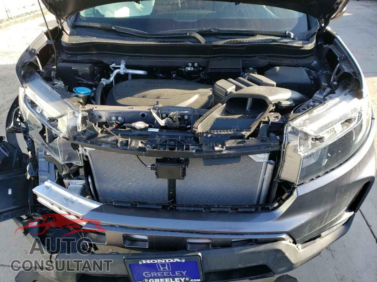HONDA RIDGELINE 2022 - 5FPYK3F75NB012390