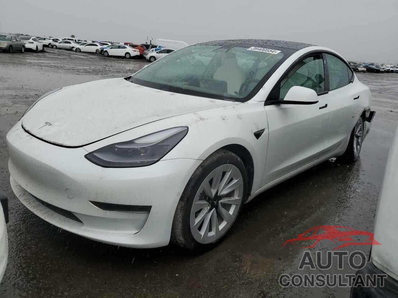 TESLA MODEL 3 2021 - 5YJ3E1EA3MF061579