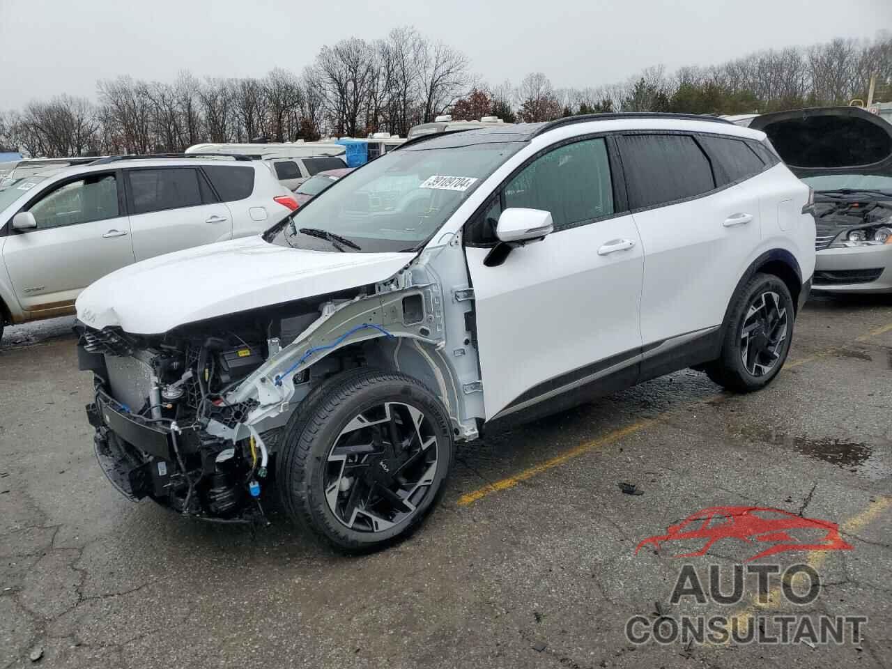 KIA SPORTAGE 2024 - 5XYK5CDF0RG154502