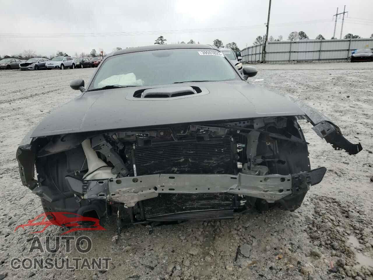 DODGE CHALLENGER 2019 - 2C3CDZFJ3KH662437
