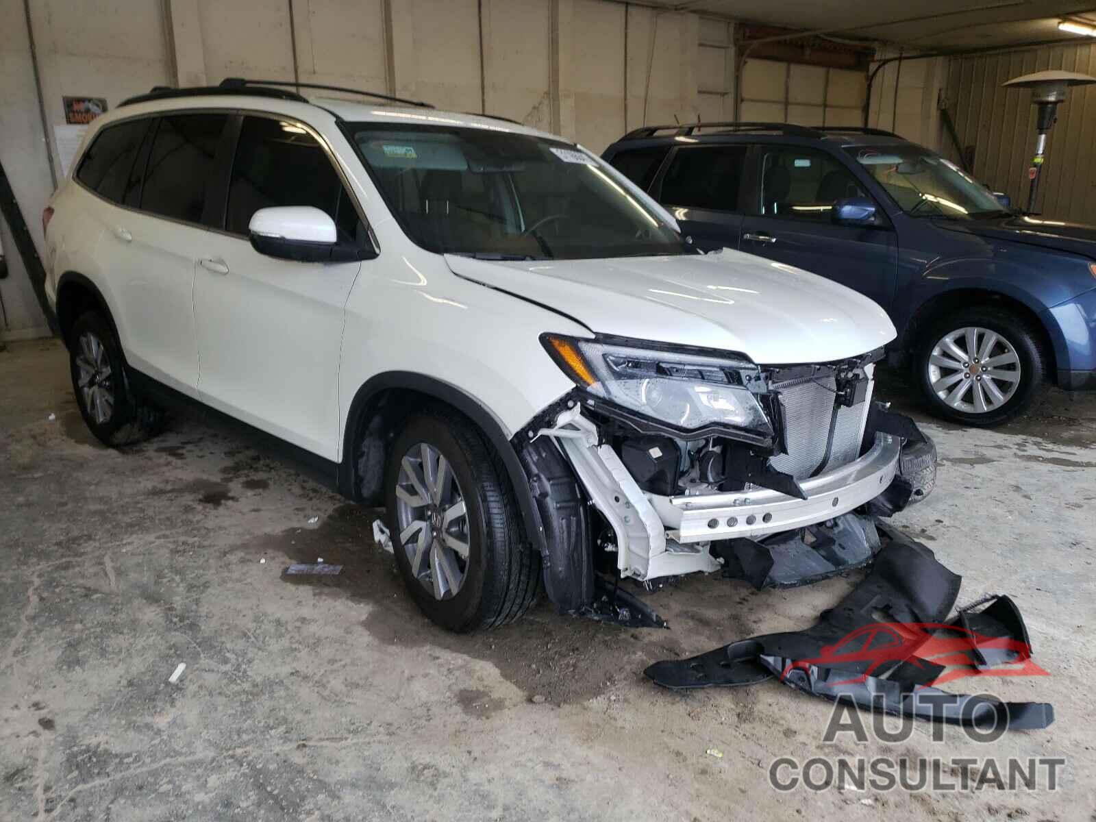 HONDA PILOT 2019 - 5FNYF6H41KB021827