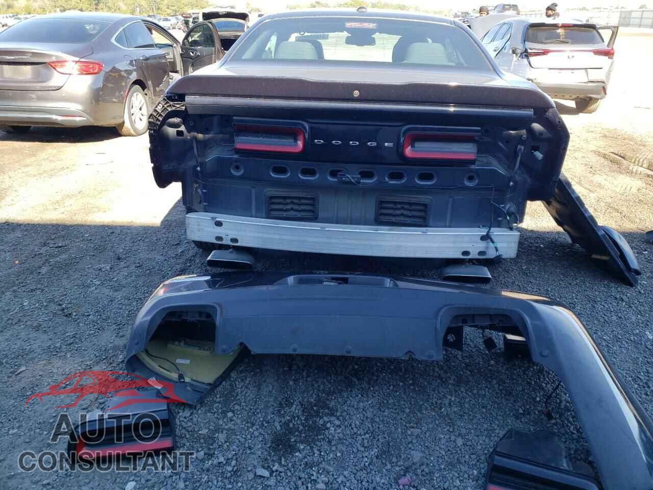 DODGE CHALLENGER 2019 - 2C3CDZBT5KH615935
