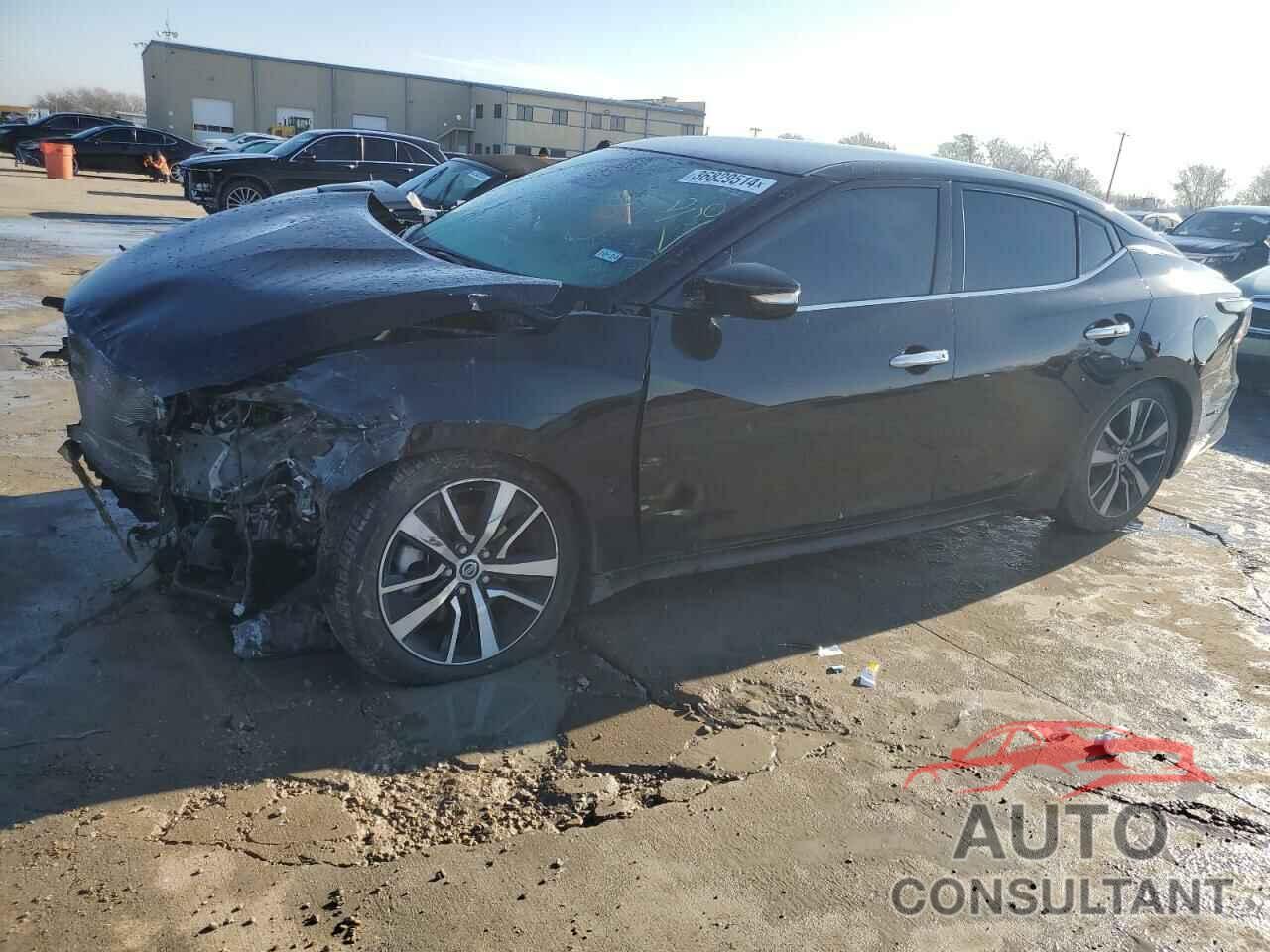 NISSAN MAXIMA 2021 - 1N4AA6CV8MC516919