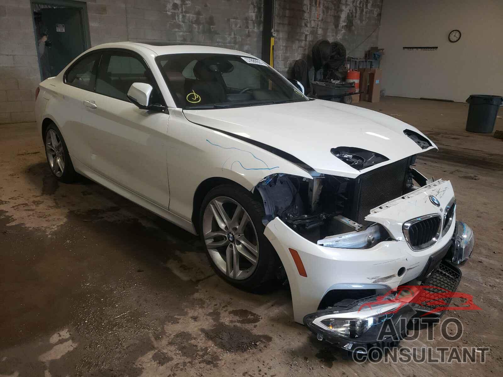 BMW 2 SERIES 2016 - WBA1G9C52GV598551