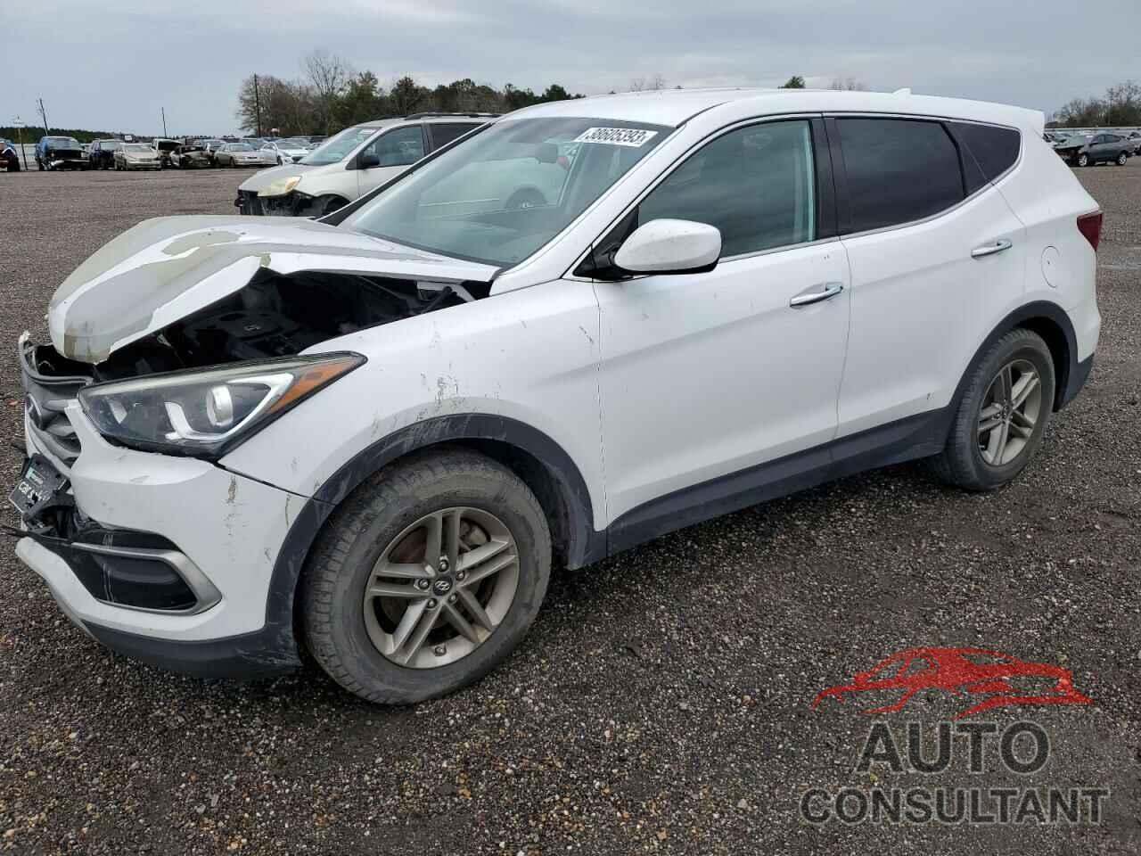 HYUNDAI SANTA FE 2017 - 5NMZT3LB4HH011818