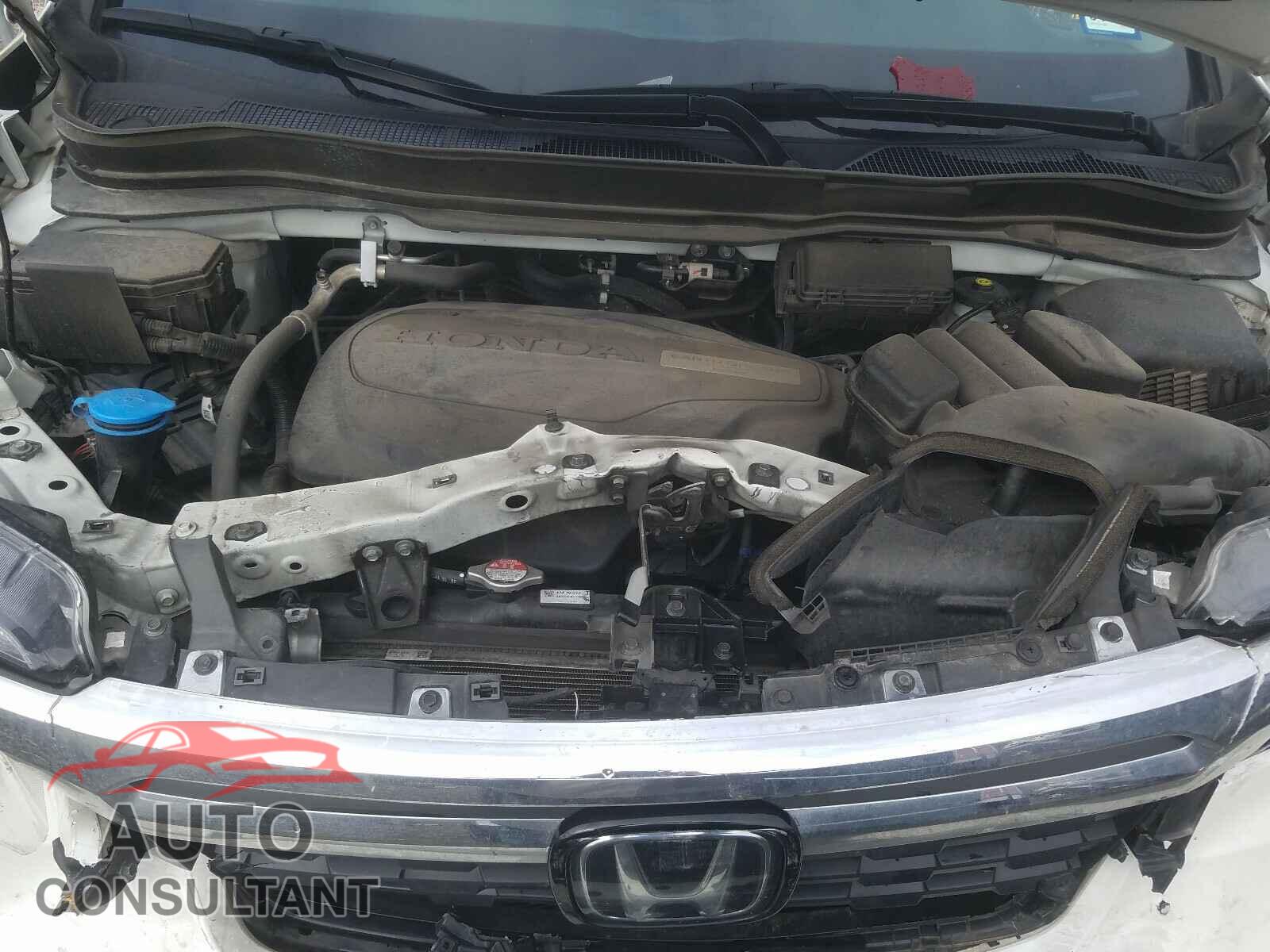 HONDA RIDGELINE 2019 - 5FPYK3F70KB020053