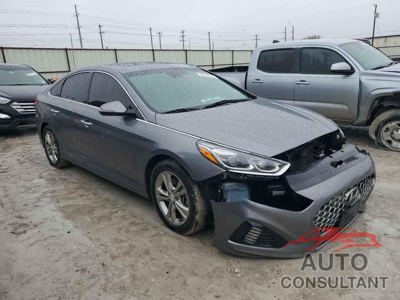 HYUNDAI SONATA 2019 - 5NPE34AFXKH764922