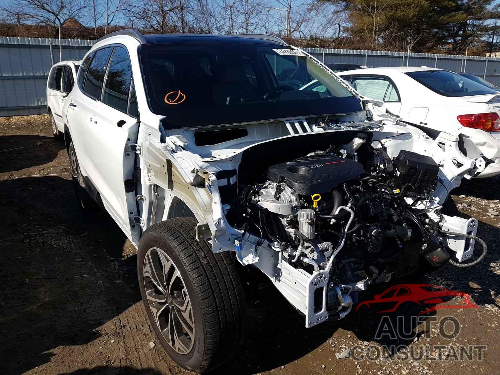 HYUNDAI SANTA FE 2020 - 5NMS5CAA5LH299766