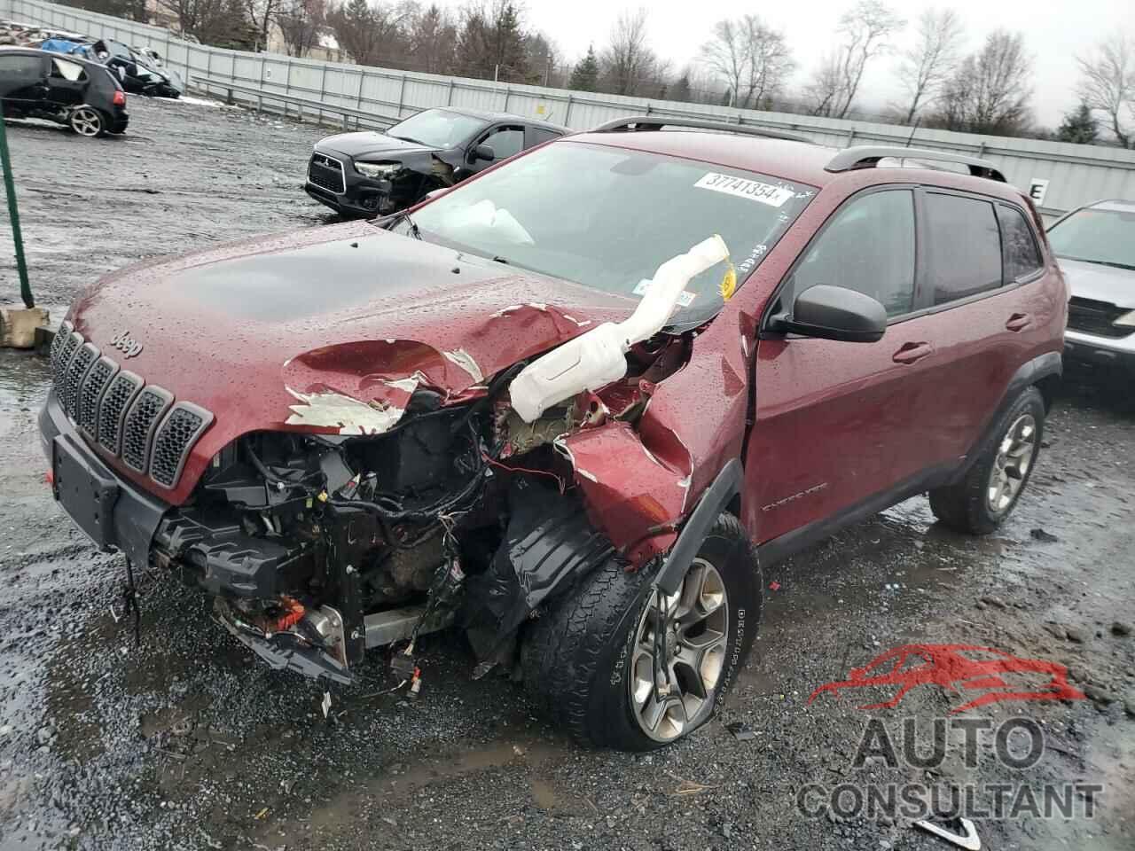 JEEP CHEROKEE 2019 - 1C4PJMBX3KD148636