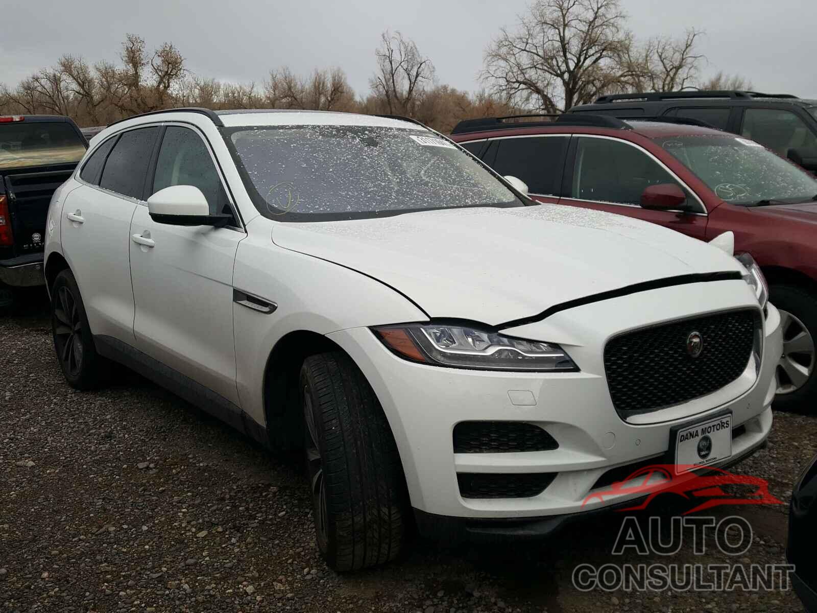 JAGUAR F-PACE 2017 - SADCK2BVXHA097374