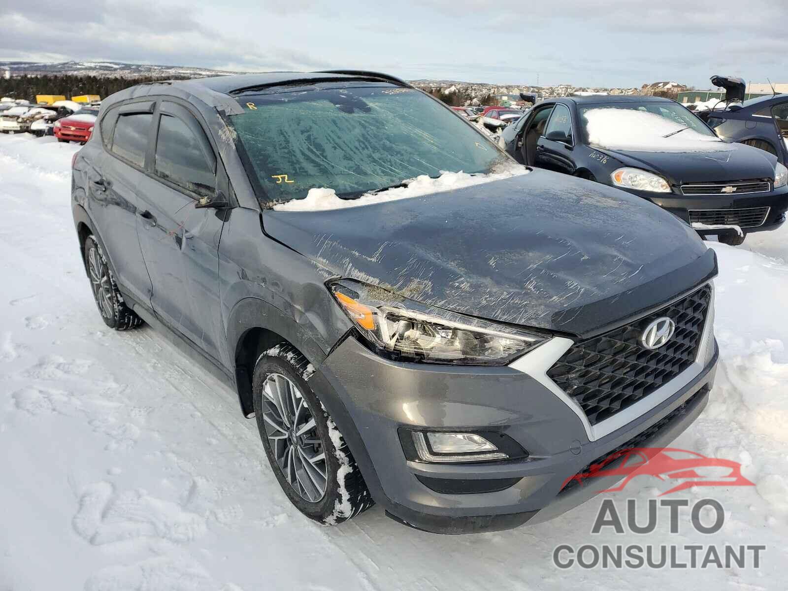 HYUNDAI TUCSON 2019 - KM8J3CAL3KU055023