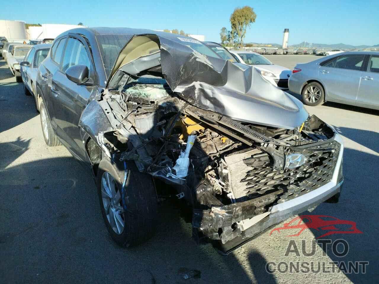 HYUNDAI TUCSON 2019 - KM8J2CA45KU926225