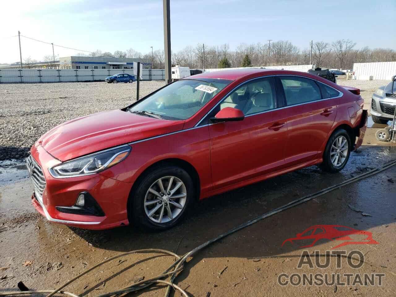HYUNDAI SONATA 2019 - 5NPE24AF7KH817904