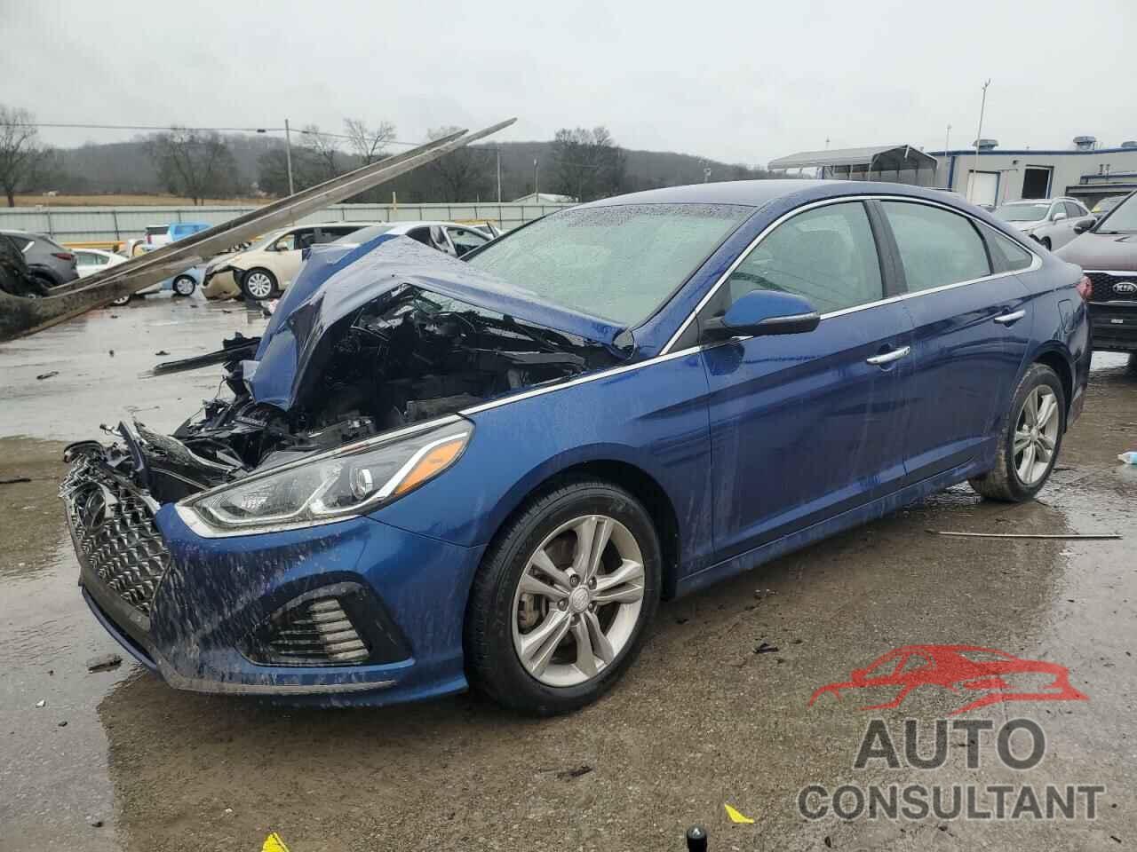HYUNDAI SONATA 2019 - 5NPE34AF1KH772553