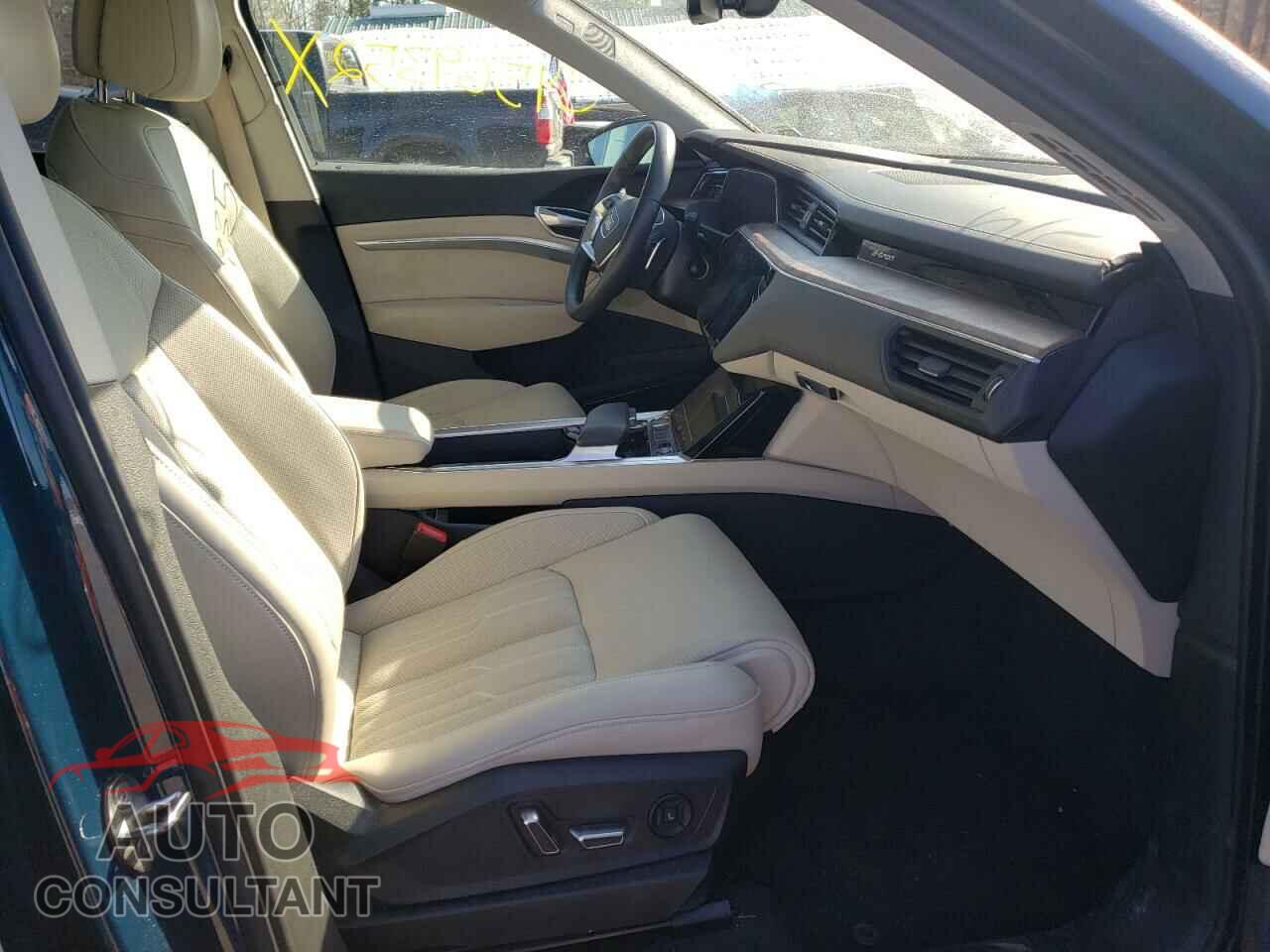 AUDI E-TRON 2019 - WA1VAAGE1KB007695
