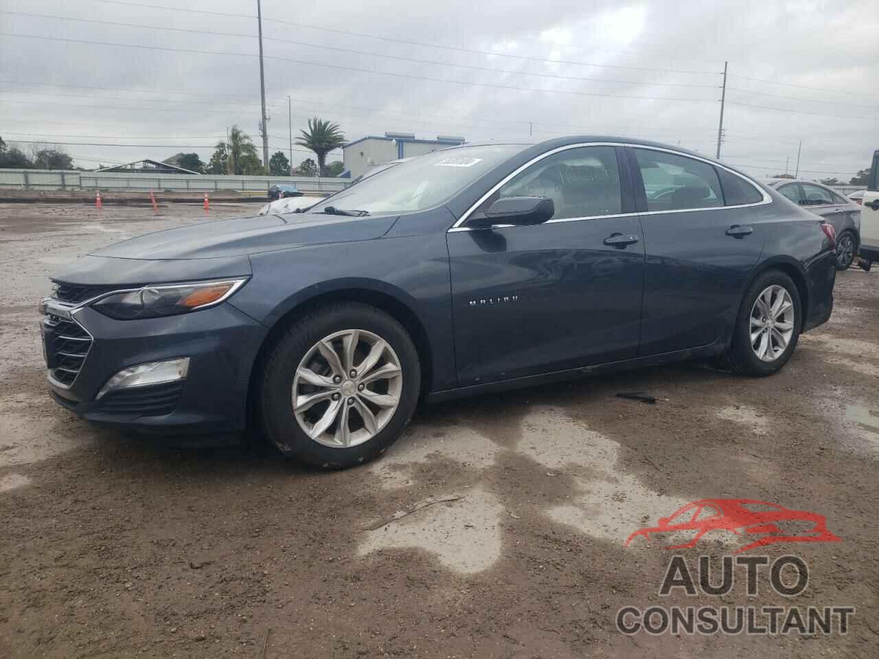 CHEVROLET MALIBU 2019 - 1G1ZD5ST7KF166878