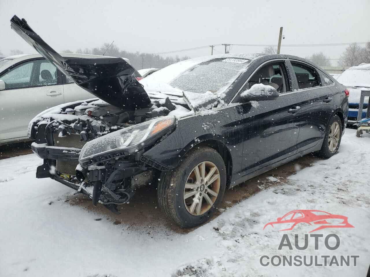 HYUNDAI SONATA 2017 - 5NPE24AF3HH553329