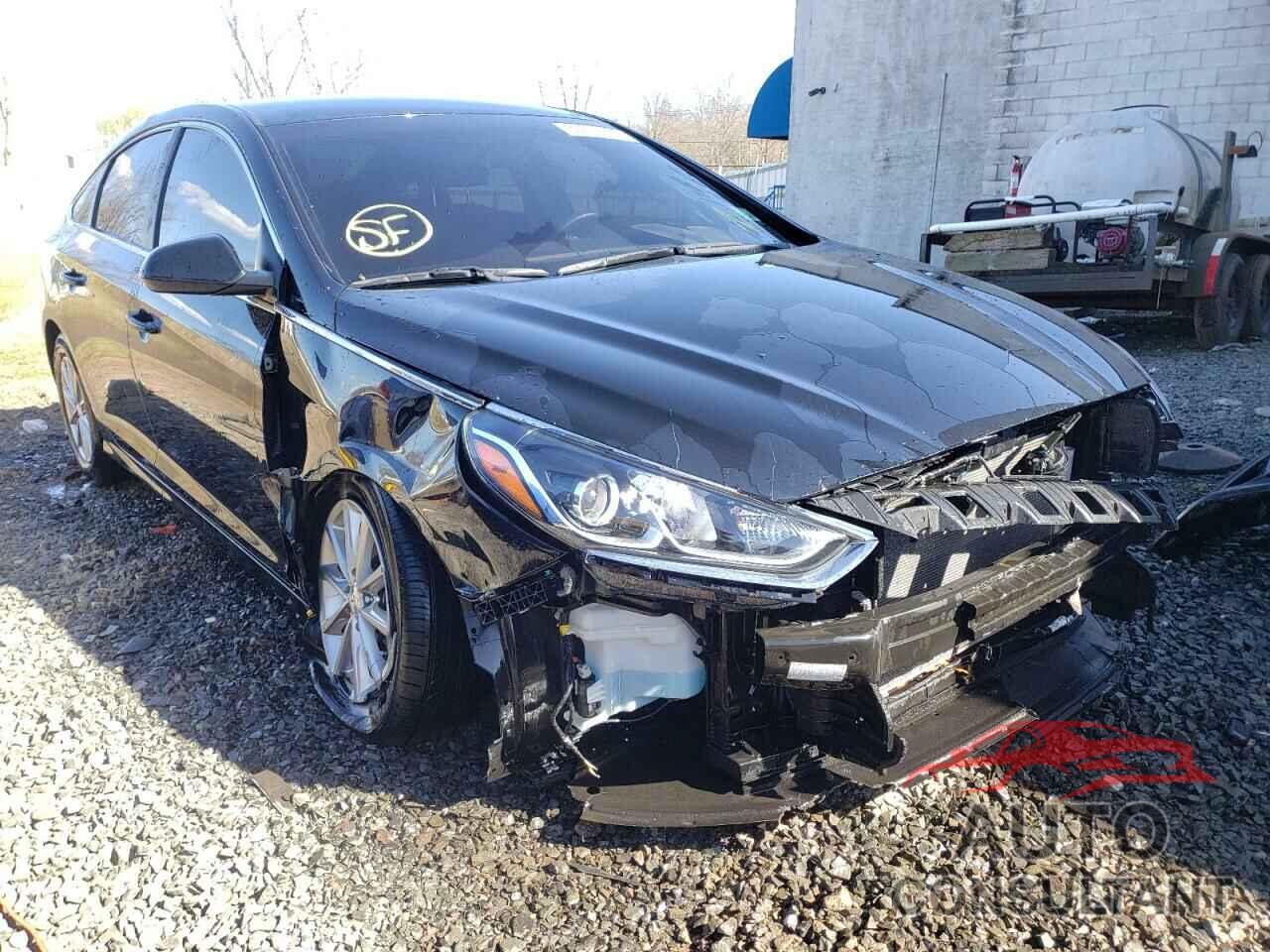 HYUNDAI SONATA 2019 - 5NPE24AF6KH772986