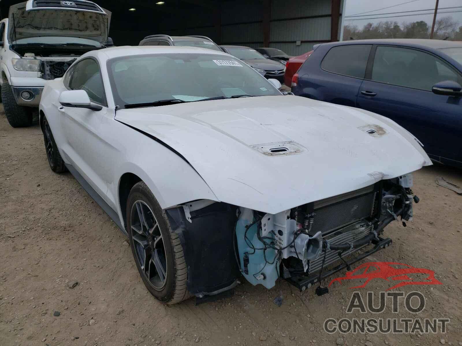FORD MUSTANG 2019 - 1FA6P8TH5K5151529