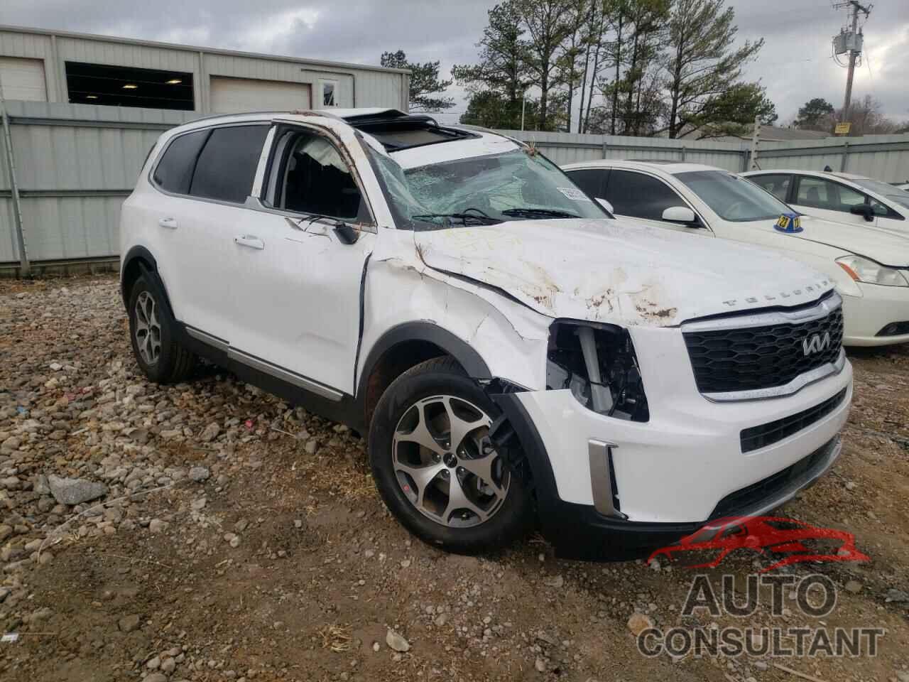 KIA TELLURIDE 2022 - 5XYP34HC1NG255141