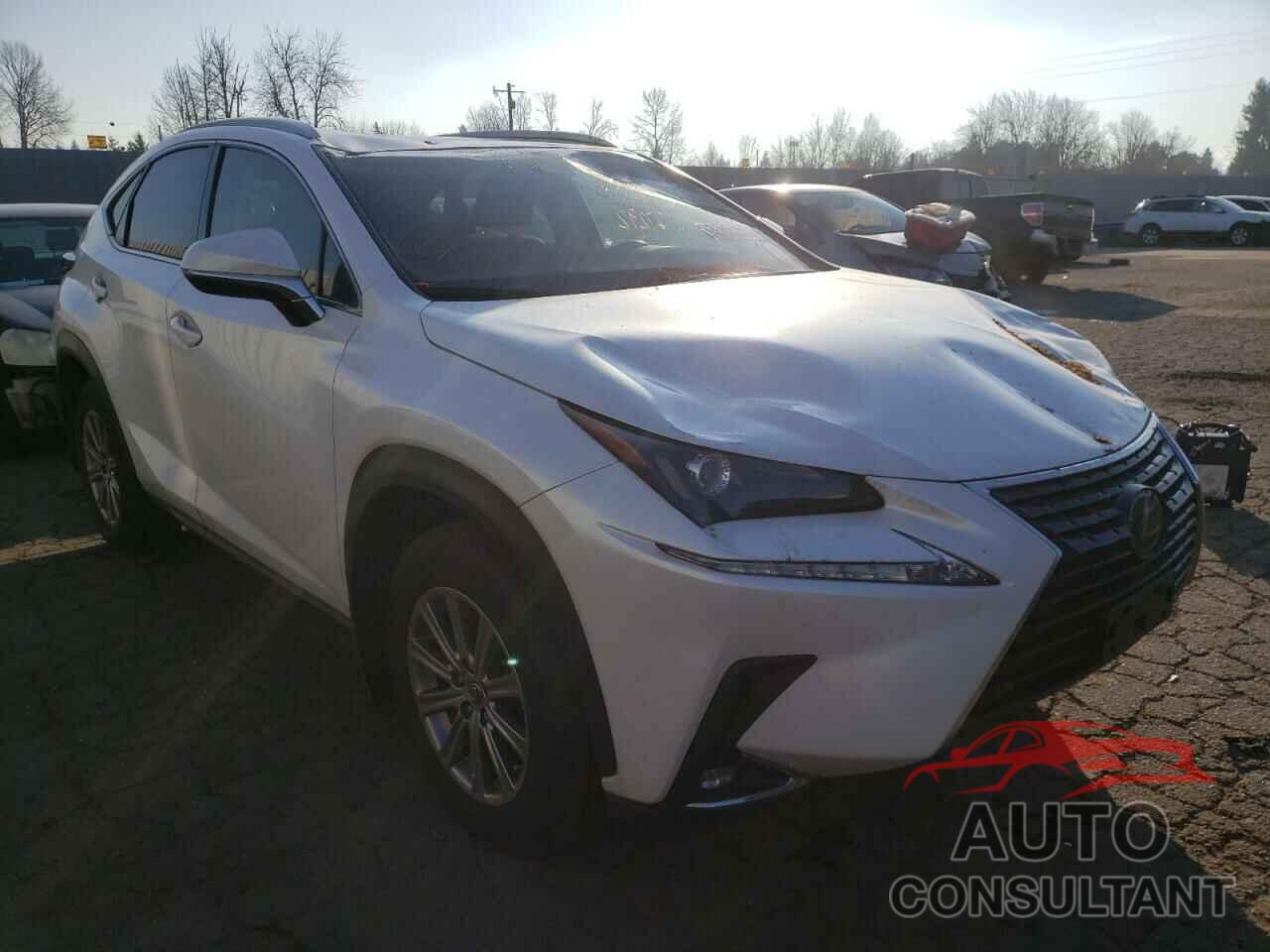 LEXUS NX 2020 - JTJAARDZ7L5008647