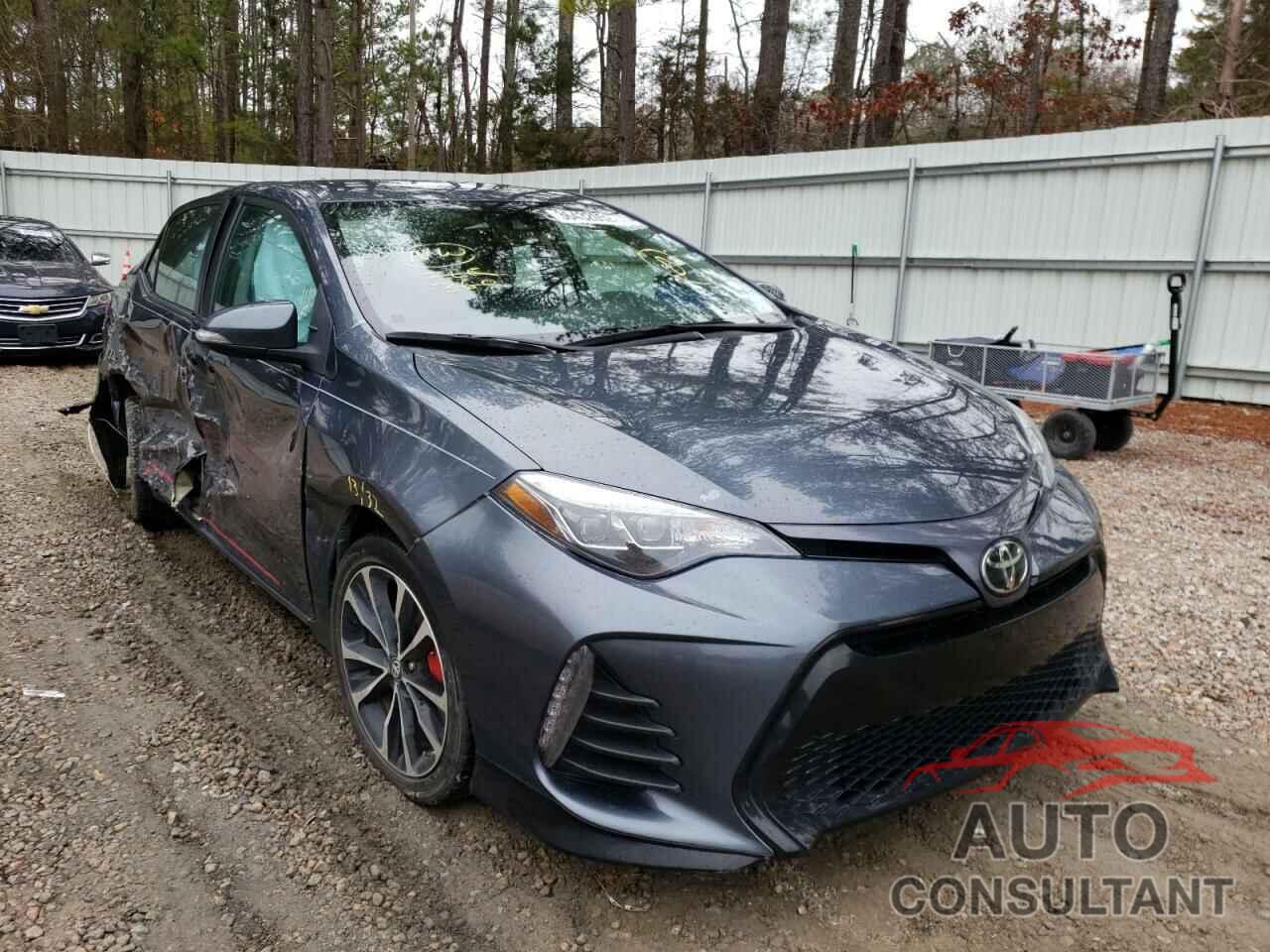 2019 COROLLA TOYOTA