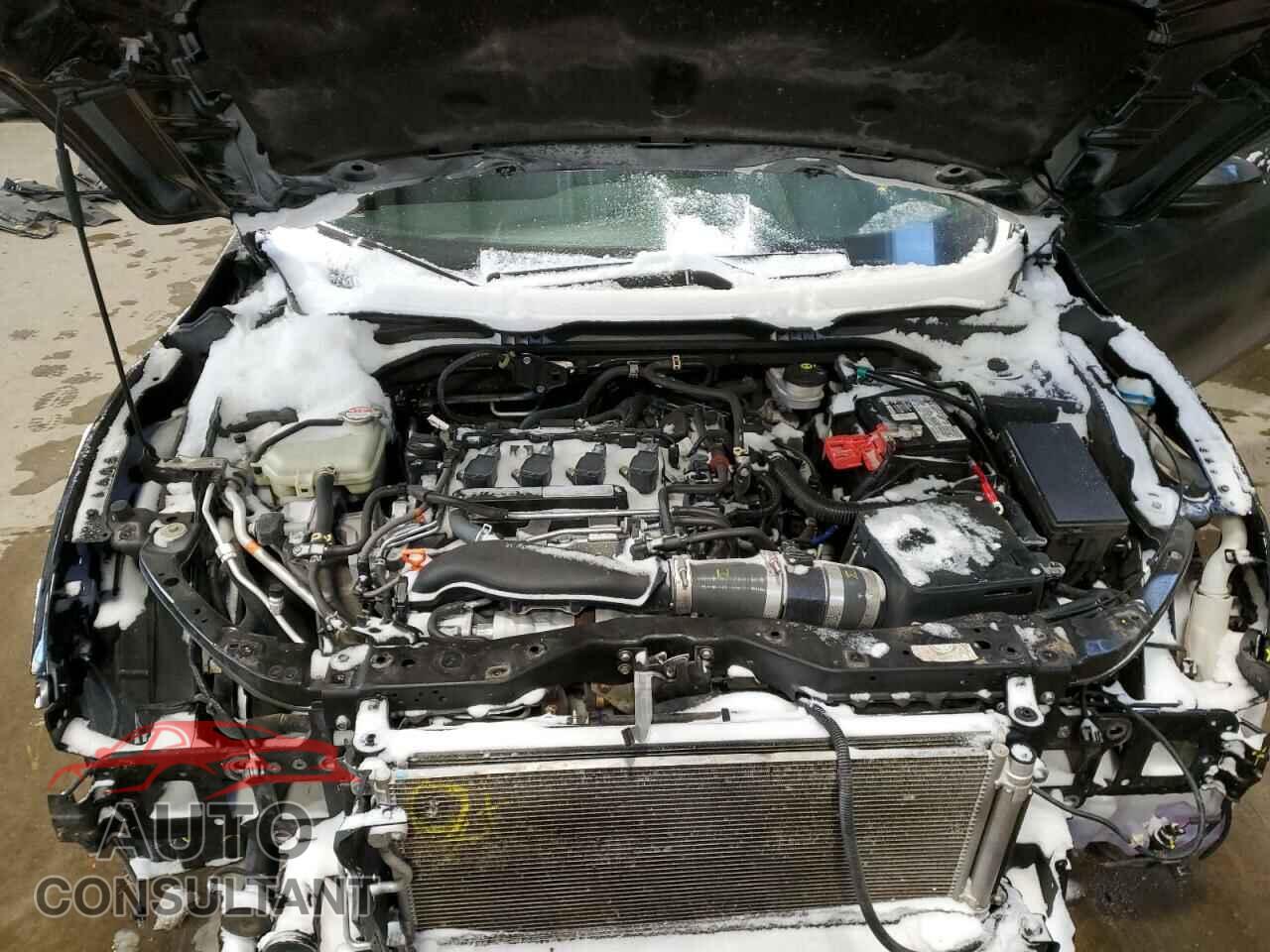 HONDA CIVIC 2019 - 2HGFC3A59KH220332