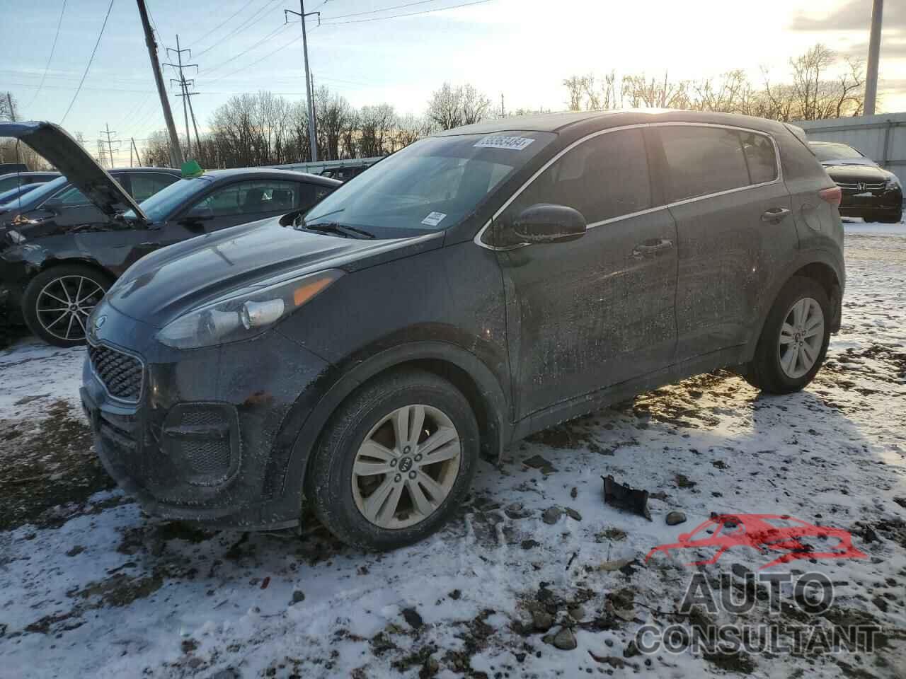 KIA SPORTAGE 2017 - KNDPM3AC7H7094751